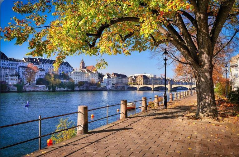 Schweiz Apartment บาเซิล ภายนอก รูปภาพ