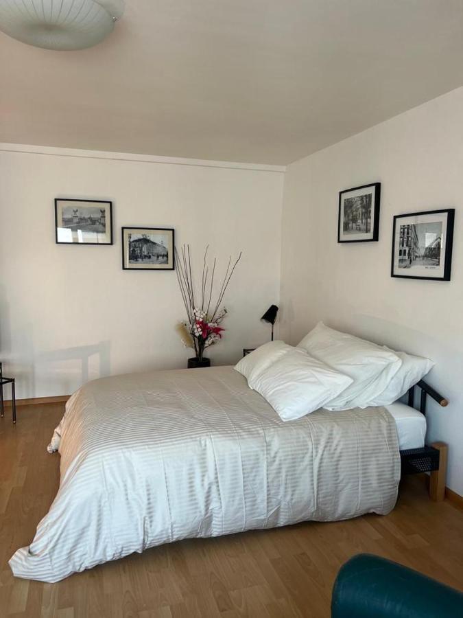 Schweiz Apartment บาเซิล ภายนอก รูปภาพ