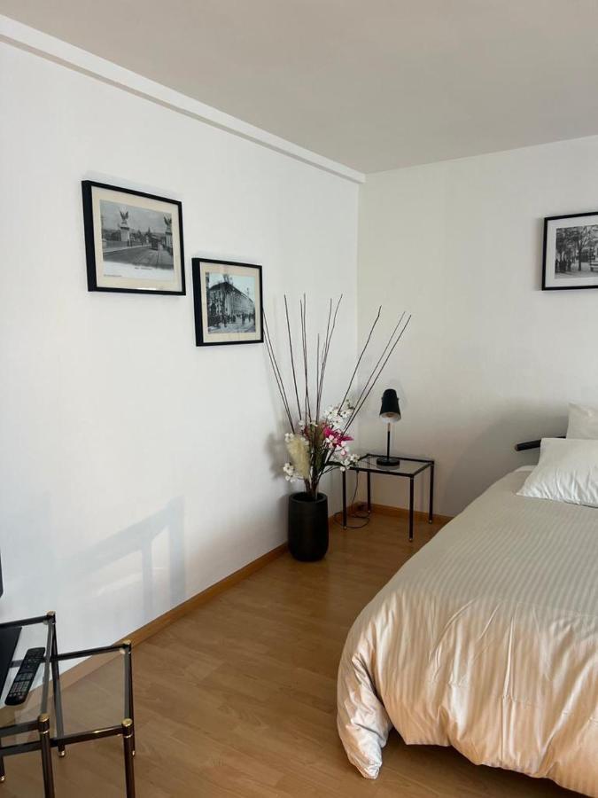 Schweiz Apartment บาเซิล ภายนอก รูปภาพ